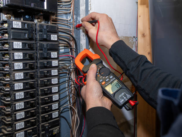 Best Ceiling Fan Installation Electrician  in St Augustine Shores, FL